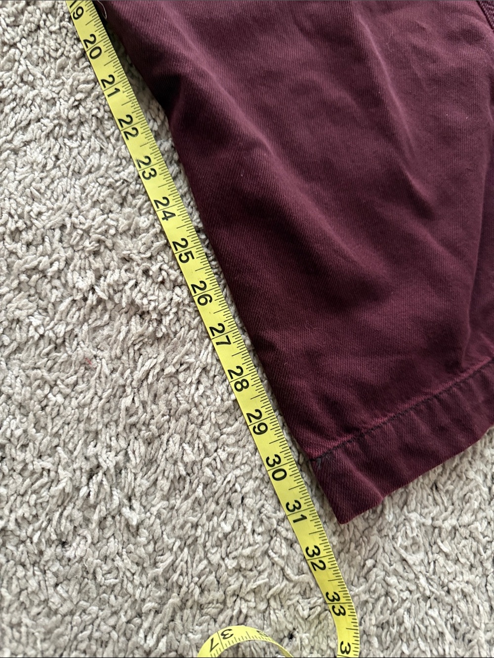 wild fable Burgundy Cargo Pants - Picture 13 of 14